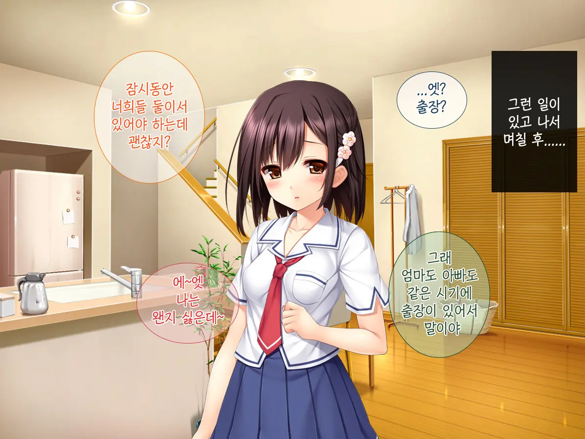 Imouto Ga Suki Sugiru Aniki Ga Kareshi Kara Netoru | 여동생을 엄청 좋아한 오빠가 남자친구에게서 여동생 빼앗기